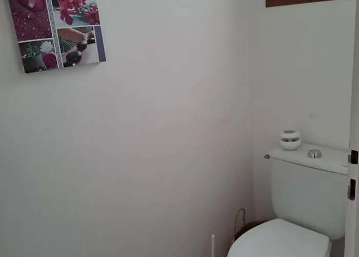 Jolie Maison Avec Piscine Ferienhaus Labastide-Saint-Georges